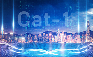 工信部重磅发文，Cat-1/NB-IoT再次站上新风口